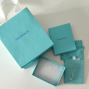 Tiffany & Co. Silver Necklace with Elegant Pendant